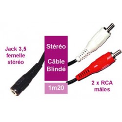 CORDON JACK 3.5  ST FEM./2 RCA MALE 0,2m