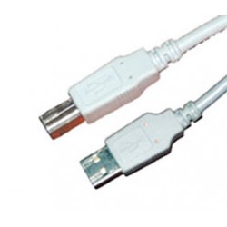 CORDON USB2 A MALE / B MALE 5m