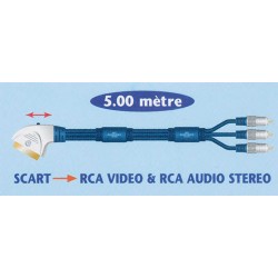 CORDON MALE BF 3 RCA / PRITEL 5m