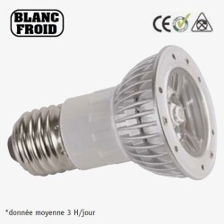 LAMPE E27 50mm 230V 1 LED BLANCHE 1W