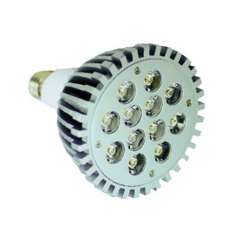 SPOT A LEDS PAR 38 12 LEDS BLANC CHAUD