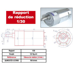 MOTOREDUCTEUR 37ZYJ-36ZY 123000-30 1A