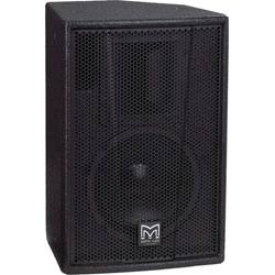 MARTIN AUDIO F12+ ENCEINTE 300W 2 VOIES