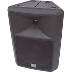 BETA THREE WS300US ENCEINTE AMPLIFIEE 12